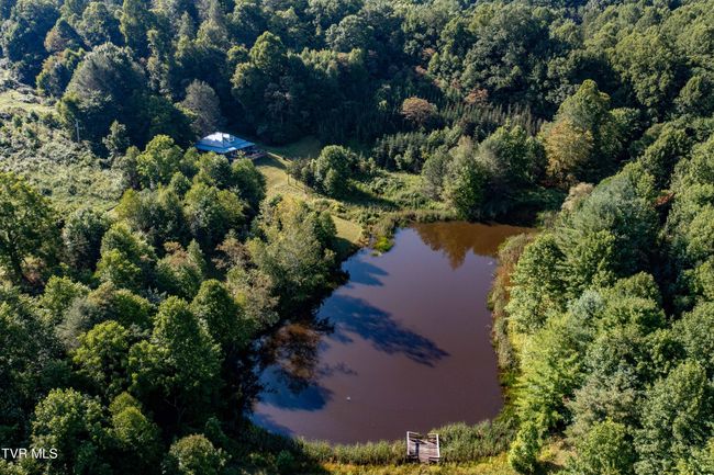 306 Bear Branch Rd, Home with 0 bedrooms, 0 bathrooms and null parking in Roan Mountain TN | Image 43