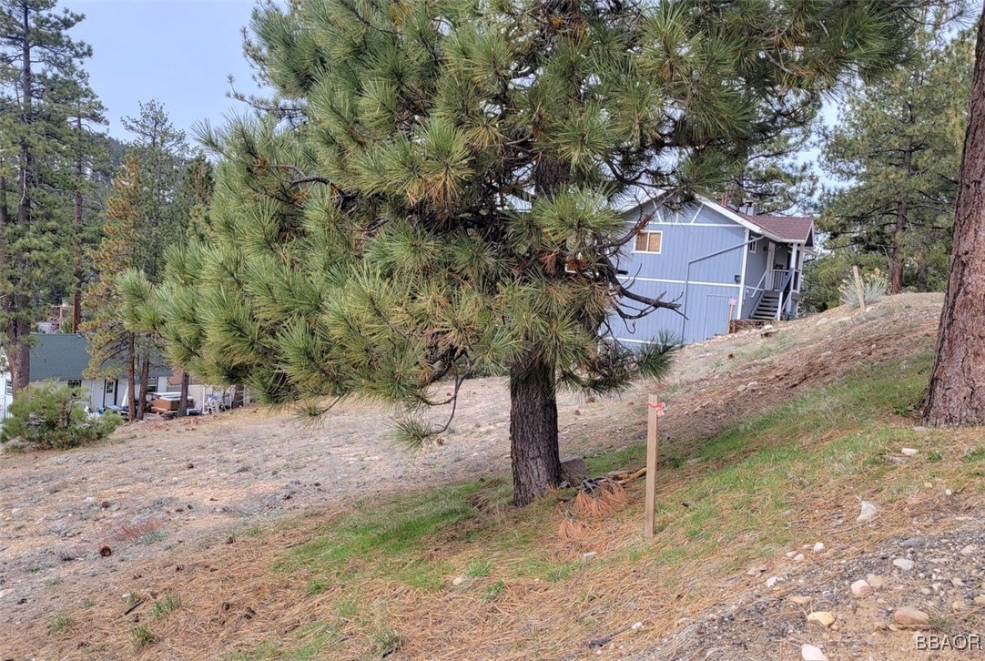 Land in Big Bear Lake 5