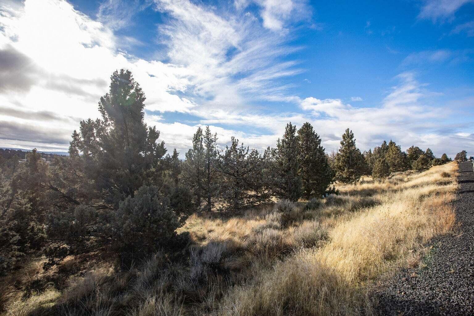 Land in Prineville 4
