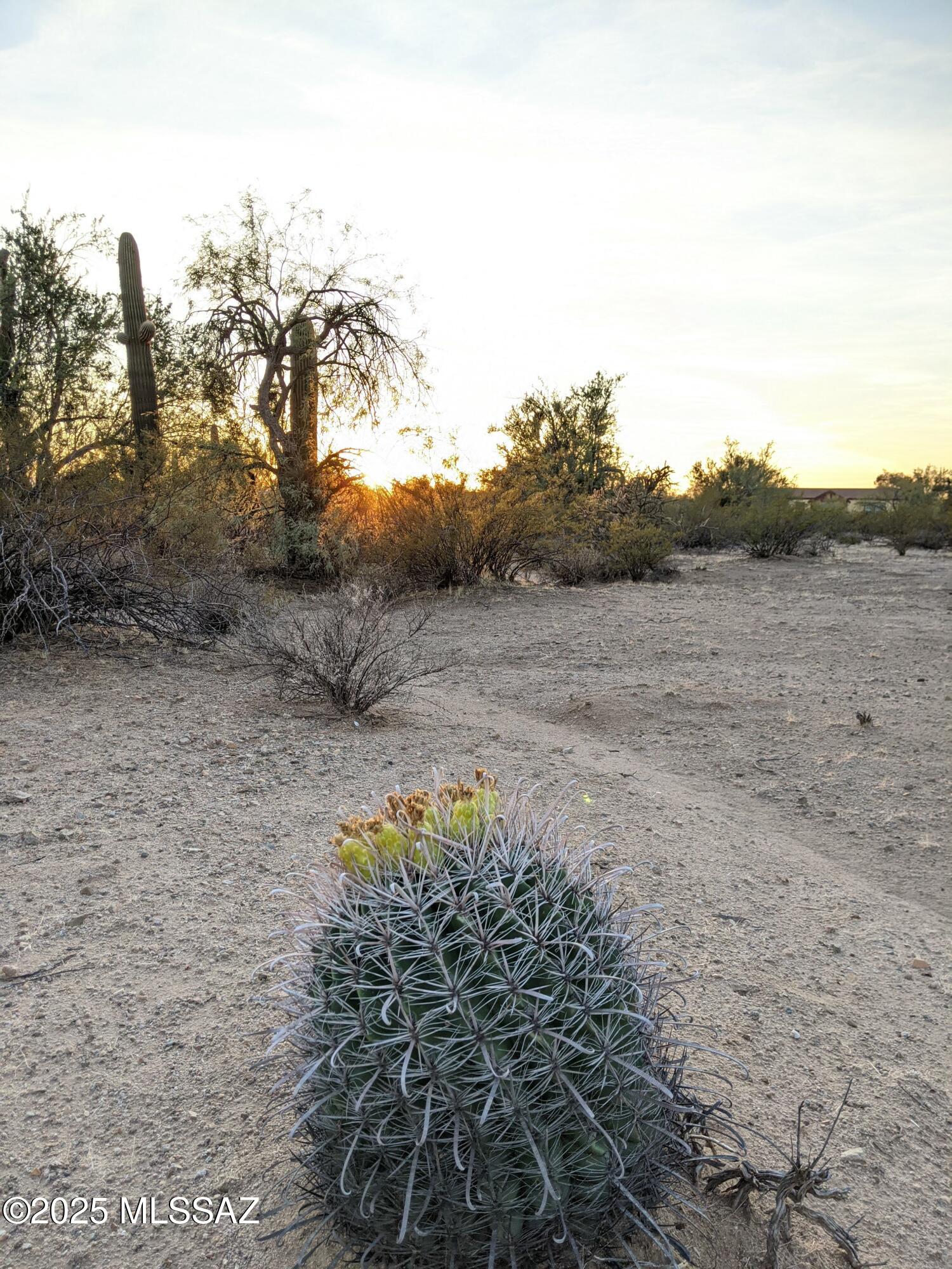 Land in Tucson