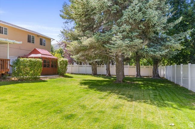 View of backyard | Image 43