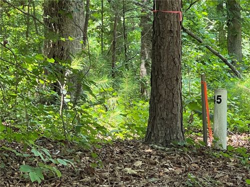 lot-45-stillwater-00 Promontory Rdg, Seneca, SC, 29672 | Card Image