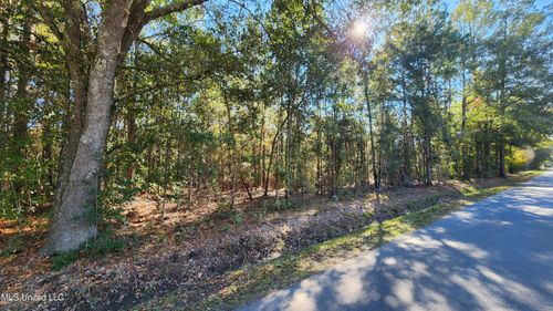 0 Sunflower St, Bay Saint Louis, MS, 39520 | Card Image