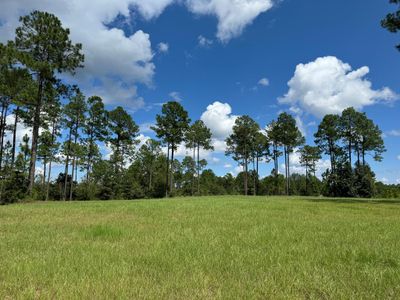 207 Bell Tower Pkwy, Home with 0 bedrooms, 0 bathrooms and null parking in Carriere MS | Image 1