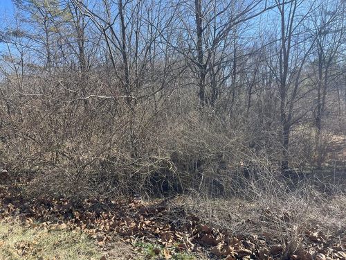 0 Livesay Street, Crossville, TN, 38555 | Card Image