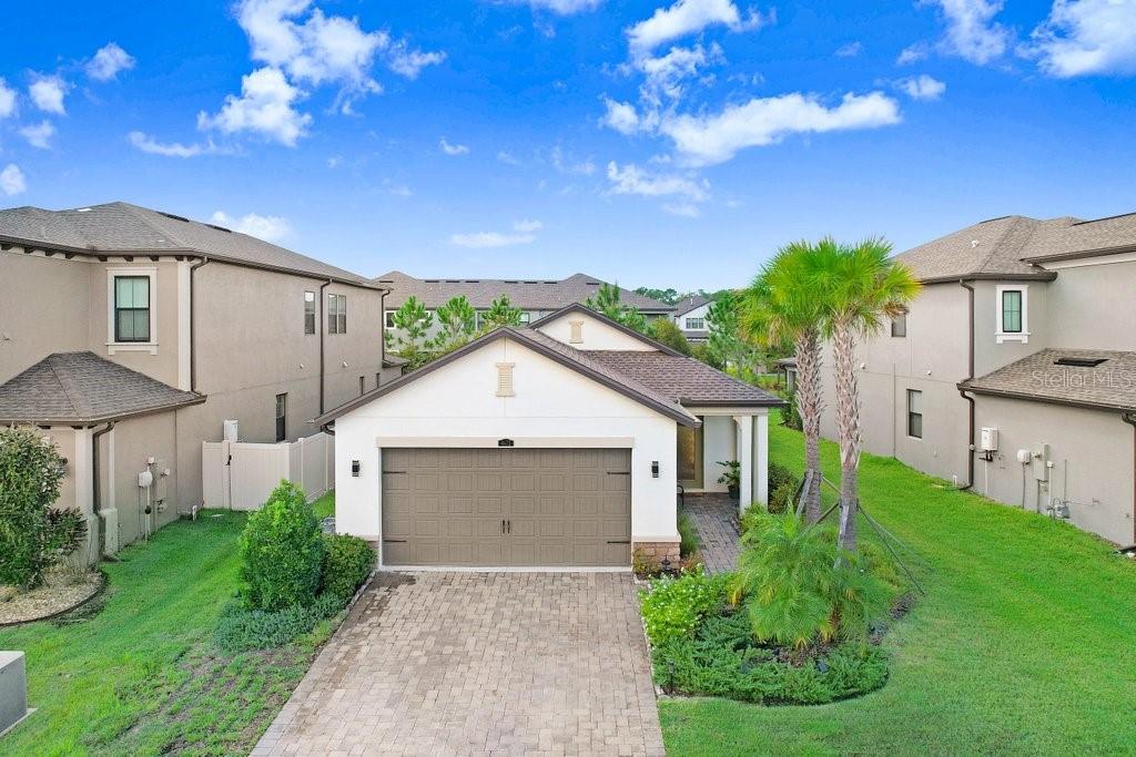 San Martino Dr, Wesley Chapel, FL 33543