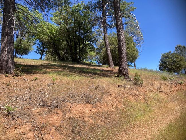 16688 Sonshine Ln, Home with 0 bedrooms, 0 bathrooms and null parking in Sutter Creek CA | Image 28