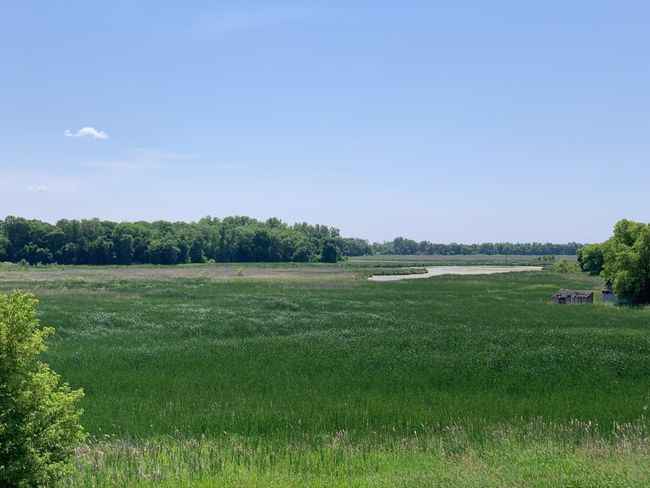 Our namesake, Grass Lake wetland preserve is directly to the south of the community providing stunning views and wildlife watching. This photo taken from a neighboring property. | Image 9