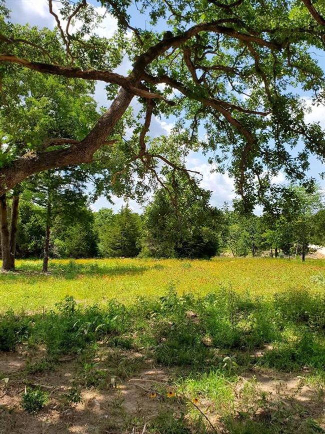 21 Cr 389, Home with 0 bedrooms, 0 bathrooms and null parking in Jewett TX | Image 12