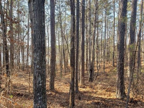 0 Stillwater Ln, Double Springs, AL, 35553 | Card Image