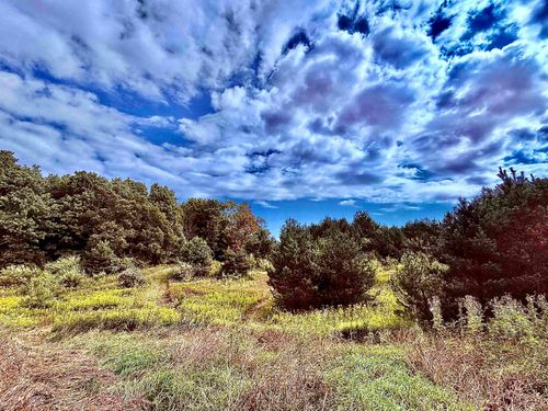 Parcel A M-113, Mayfield Township, MI, 49649 | Card Image