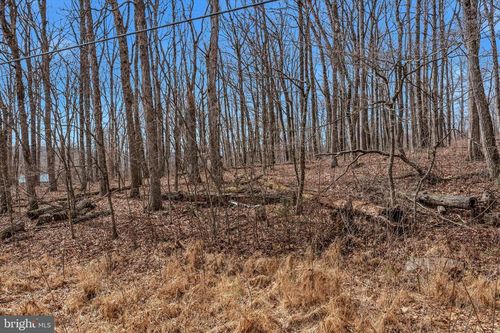 Lot 6 Pauls Woods Rd, DELRAY, WV, 26714 | Card Image