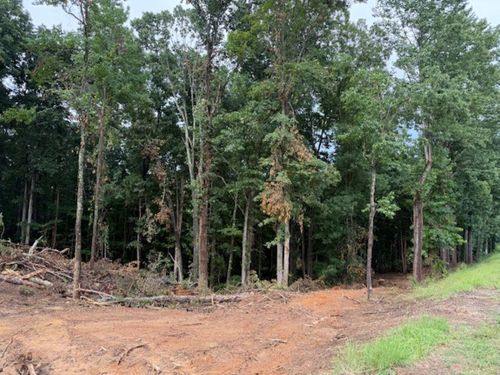 2756 Wilhite Rd, Falkville, AL, 35622-7032 | Card Image