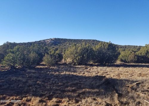Lot 35 Cr 8281, Concho, AZ, 85924 | Card Image