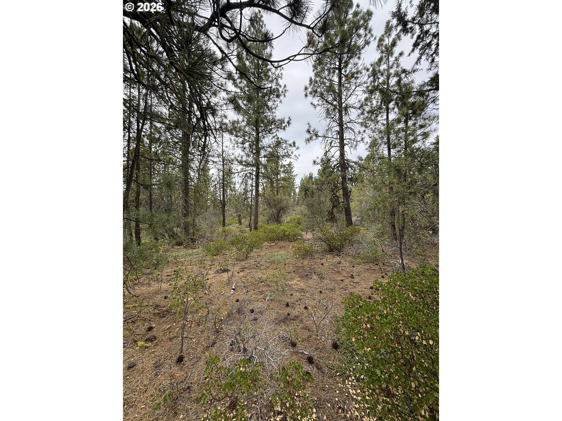 Land in Bonanza