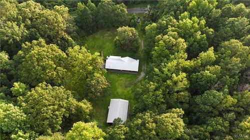 11900 Payneville Rd, Livingston, AL, 35470 | Card Image