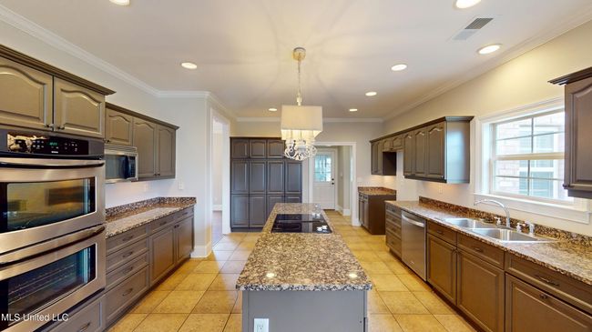 1377-Notting-Hill-Loop-07112025_005603 | Image 12