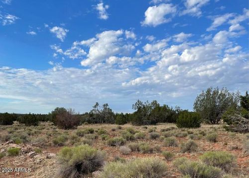 1332-000 Via De Oro, Seligman, AZ, 86337 | Card Image