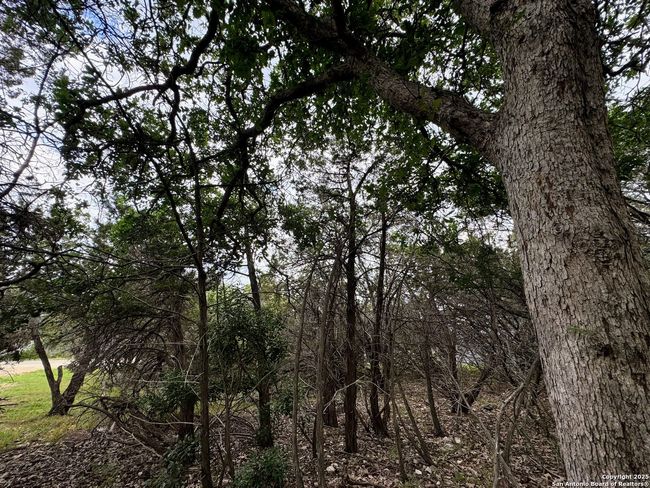 1107 High Point Ln, Home with 0 bedrooms, 0 bathrooms and null parking in Spring Branch TX | Image 6