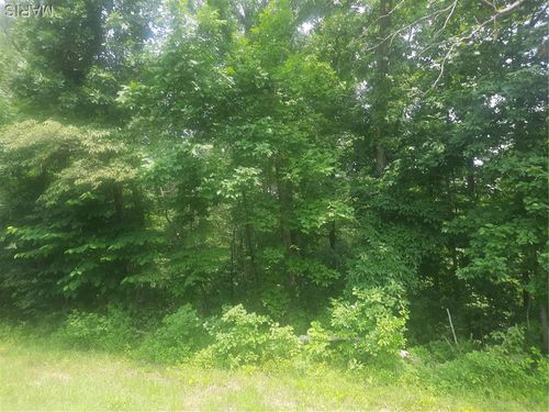 tbd Tbd, Van Buren, MO, 63965 | Card Image