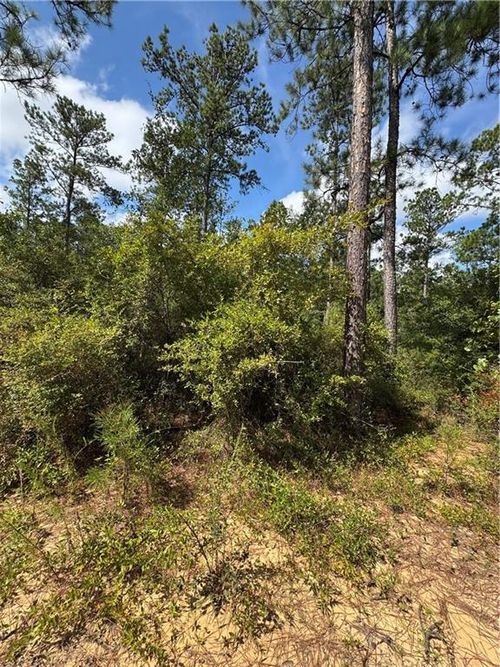 0 Jimmy Rd, Chatom, AL, 36518 | Card Image