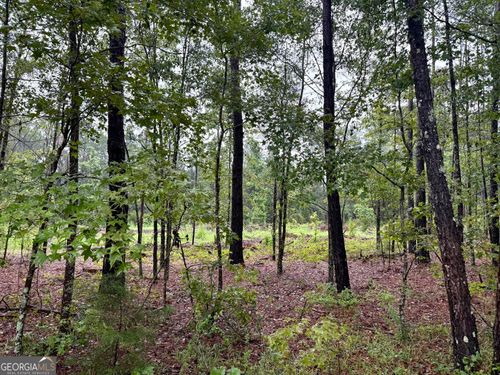 0 Ben Holland Rd, Claxton, GA, 30417 | Card Image