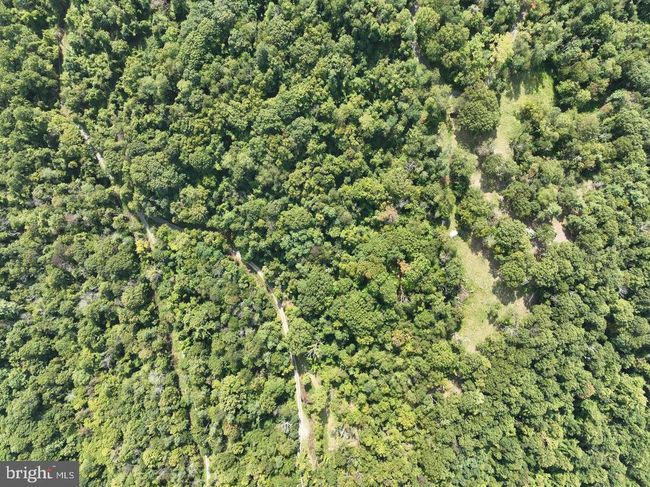 Lot 3 Price Ridge Rd, Home with 0 bedrooms, 0 bathrooms and null parking in STANLEY VA | Image 23