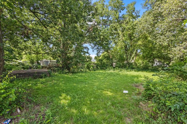 View of yard | Image 12