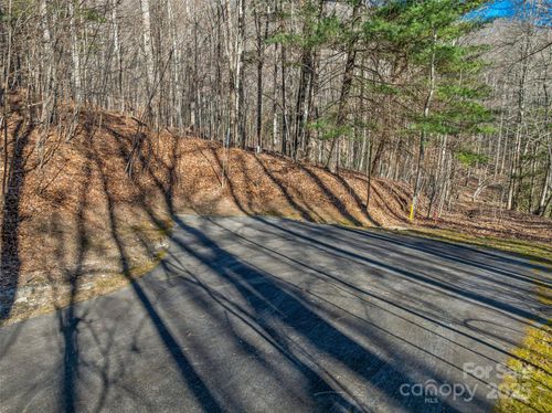 10-TBD Ladys Fern Trail, Laurel Park, NC, 28739 | Card Image