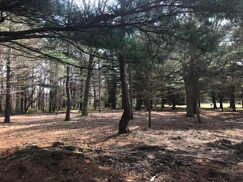 lot 1 Creekwood Drive, South Haven, MI, 49090 | Card Image