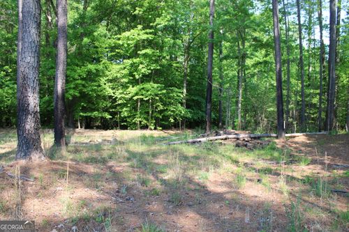 0 Ga Highway 87, Forsyth, GA, 31029 | Card Image