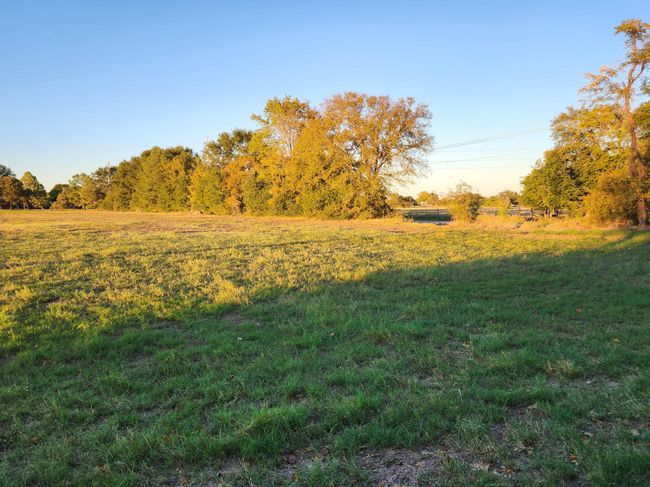 0 County Rd, Home with 0 bedrooms, 0 bathrooms and null parking in Eustace TX | Image 5