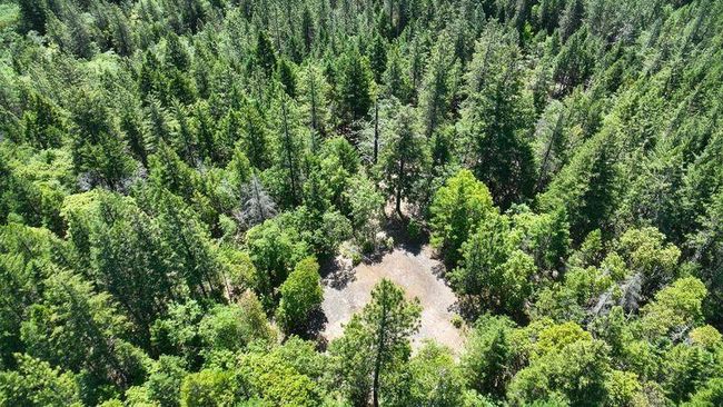 4 Lower River | Image 4