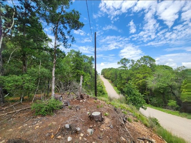 View of local wilderness | Image 6