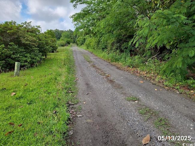View of street with a forest view | Image 5