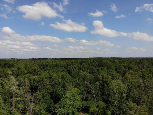 80 Acres Kempton Road, Fairchild, WI, 54722 | Card Image