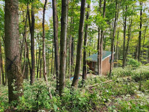 37 Rocky Rd, Harman, WV, 26270 | Card Image