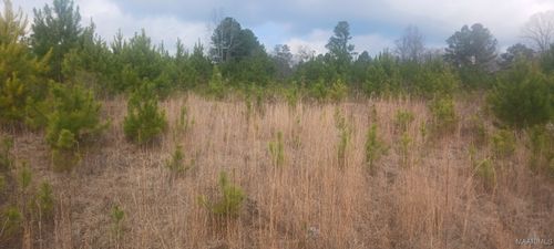 60 County Road 494, Verbena, AL, 36091-4200 | Card Image