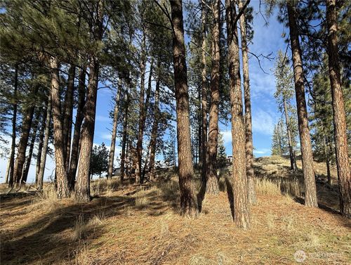 0 N Adams St, Republic, WA, 99166 | Card Image