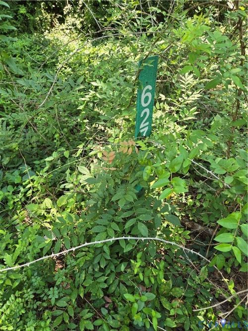 627 Woodfork Rd, Charlotte Court House, VA, 23923 | Card Image