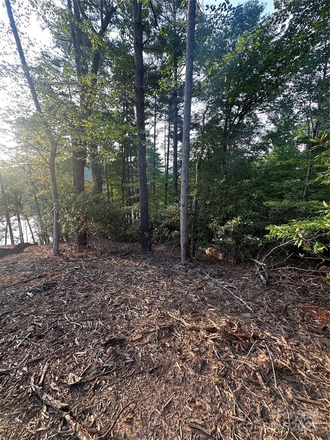385 Dockside Dr, Home with 0 bedrooms, 0 bathrooms and null parking in Nebo NC | Image 17