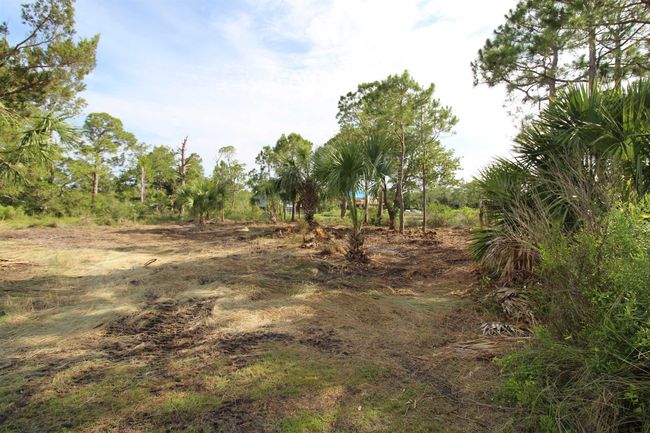 20 George Vause Rd, Home with 0 bedrooms, 0 bathrooms and null parking in Alligator Point FL | Image 6