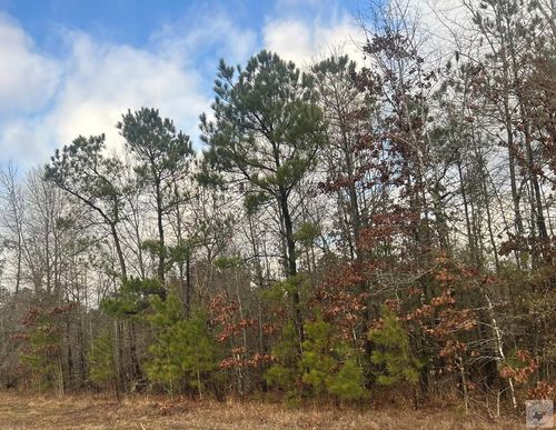 TBD Miller County 529 (Lot 28), Fouke, AR, 71837 | Card Image