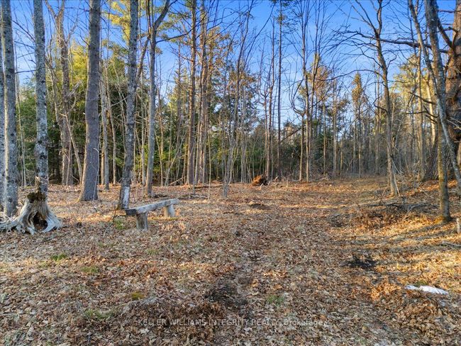 408 Doran Rd, Home with 0 bedrooms, 0 bathrooms and null parking in Maberly ON | Image 7