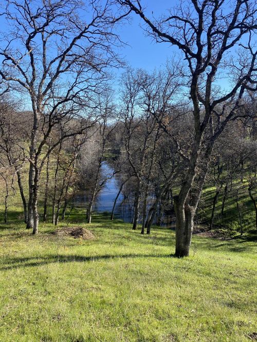 000 Old Mission Dr, Red Bluff, CA, 96080 | Card Image