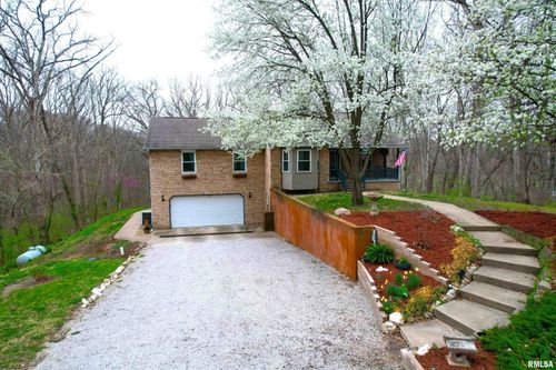 10320 Remington Ln, Carlinville, IL, 62626-2327 | Card Image