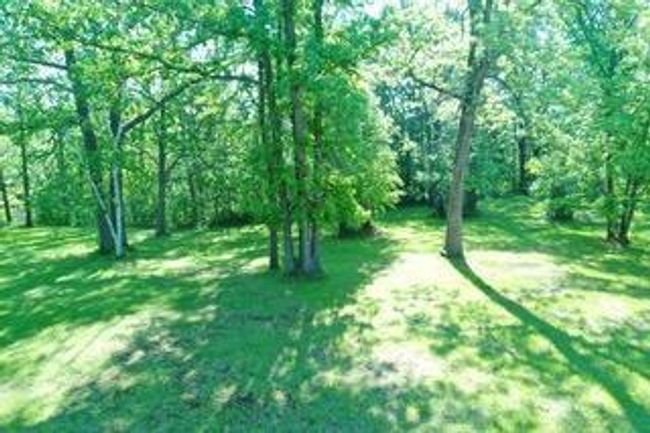Large shaded yard.jpeg | Image 23