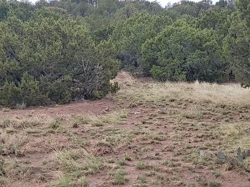 60 High Vista Dr, Moriarty, NM, 87035-5406 | Card Image