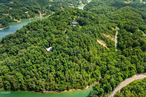 1 Skyview Way, Dandridge, TN, 37725 | Card Image
