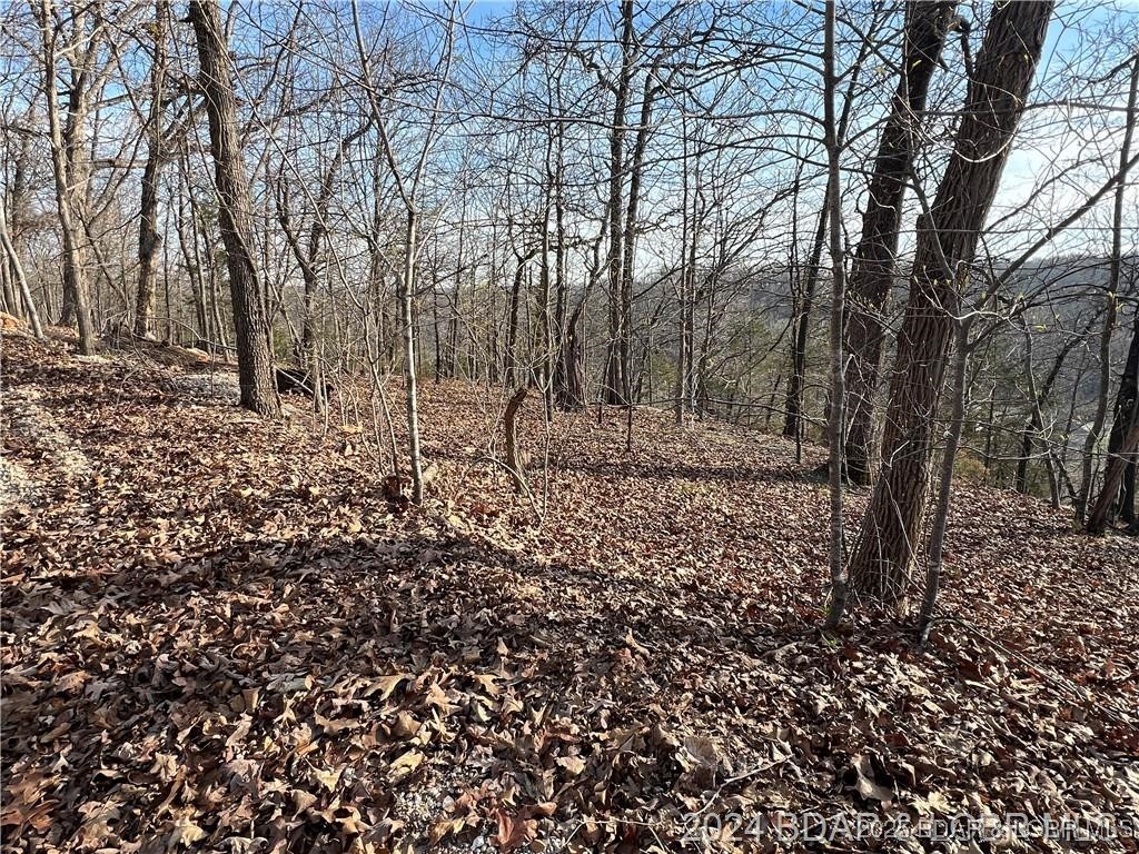 Land in Camdenton 2